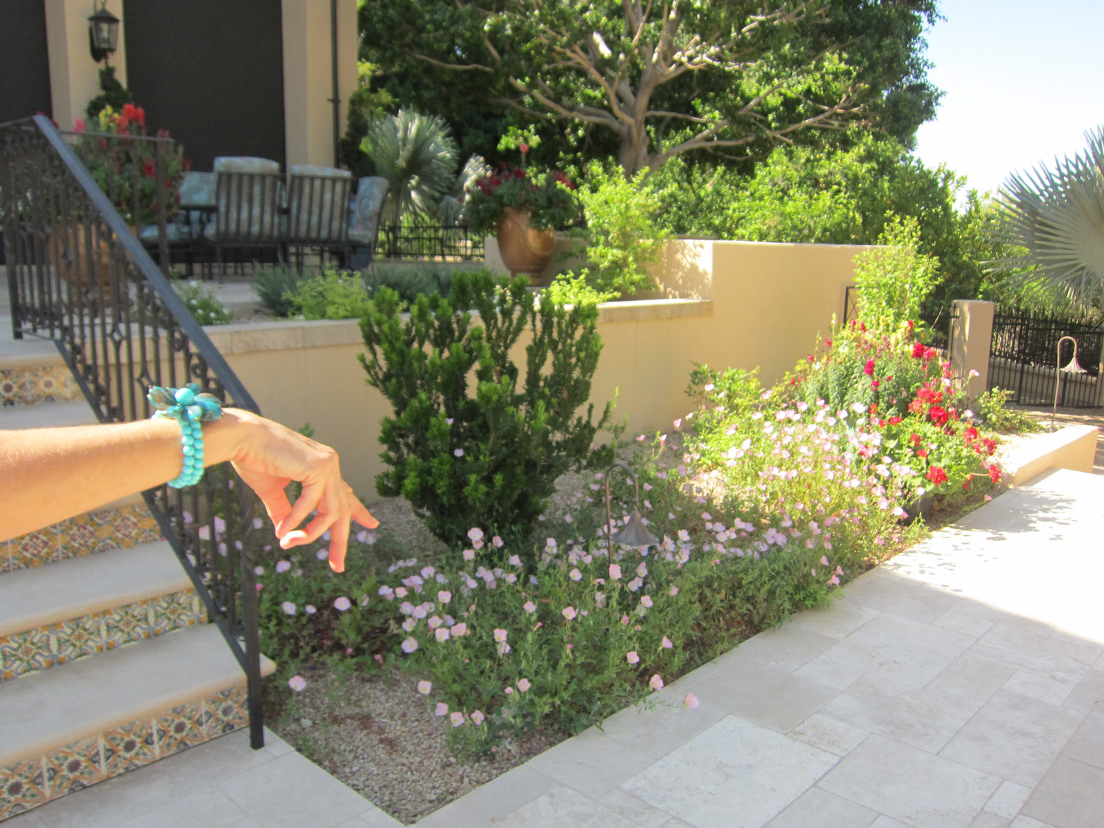 Grand Tour of Gardens 2013 (17)